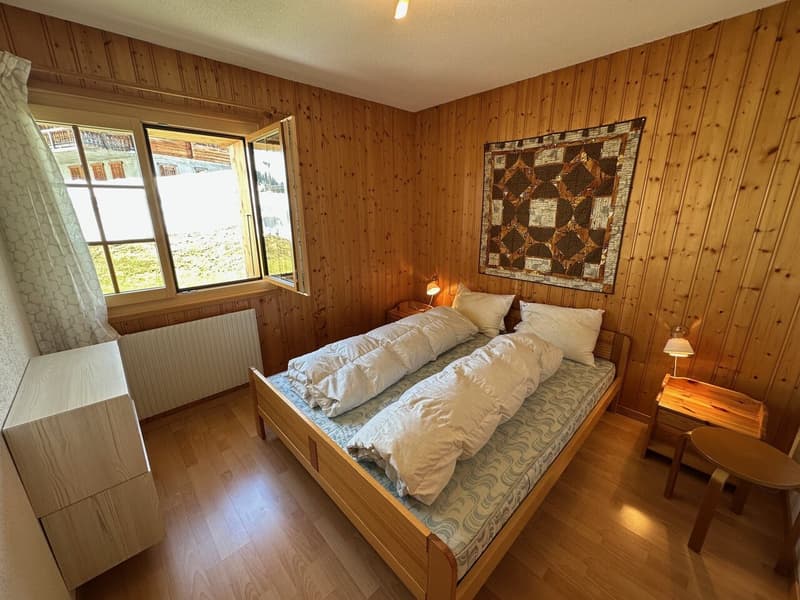 Magnifique Appartement rénové de 3 1/2 Pièces aux Crosets, Valais (2)