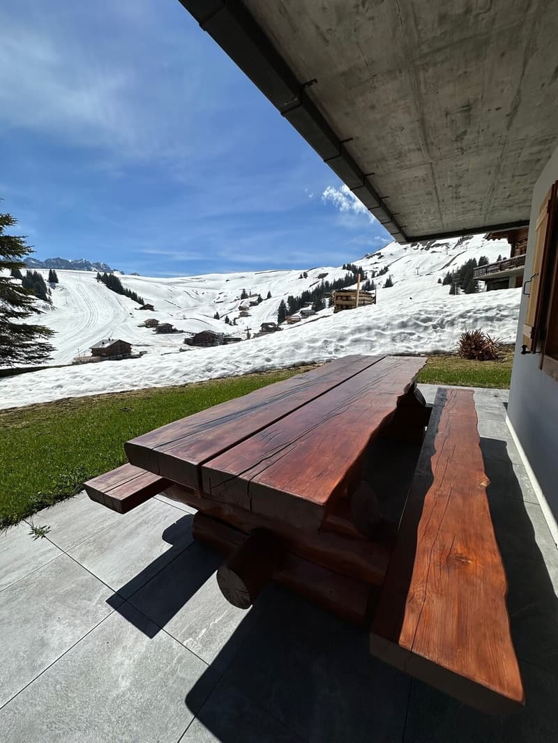 Magnifique Appartement rénové de 3 1/2 Pièces aux Crosets, Valais (13)