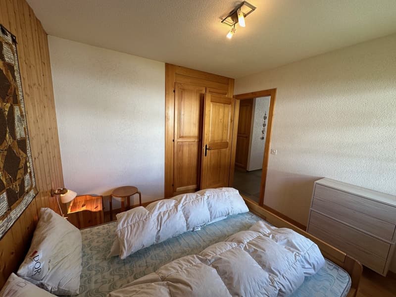 Magnifique Appartement rénové de 3 1/2 Pièces aux Crosets, Valais (3)