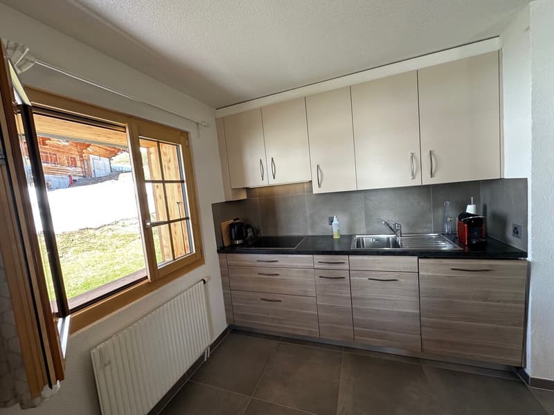 Magnifique Appartement rénové de 3 1/2 Pièces aux Crosets, Valais (7)