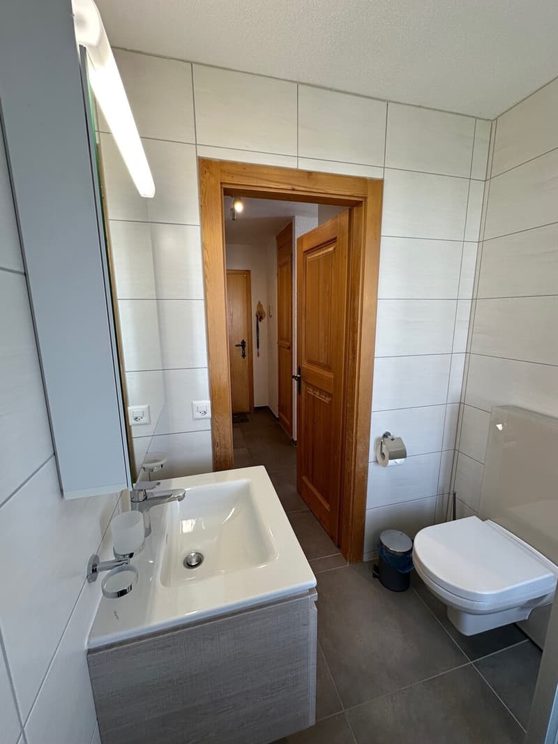 Magnifique Appartement rénové de 3 1/2 Pièces aux Crosets, Valais (9)