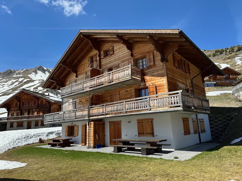 Magnifique Appartement rénové de 3 1/2 Pièces aux Crosets, Valais (1)