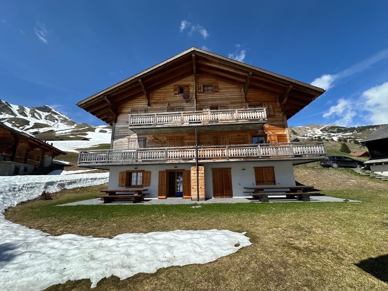 Magnifique Appartement rénové de 3 1/2 Pièces aux Crosets, Valais (12)