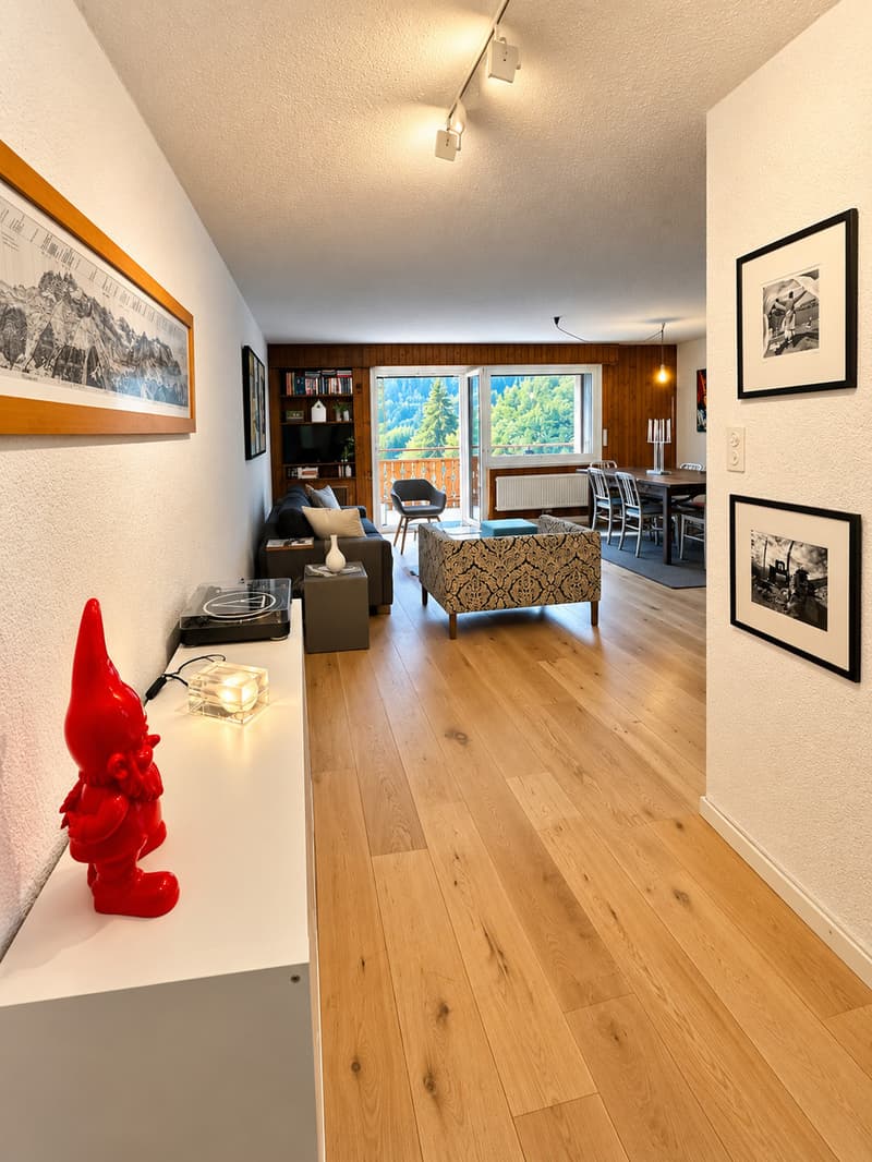 Rare, Magnifique appartement de 4 1/2 pces rénové avec vue imprenable (7)