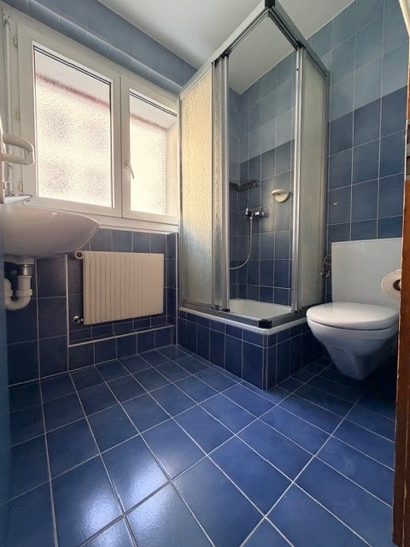 Spacieux appartement de 5.5 pièces en Duplex avec terrasse (5)