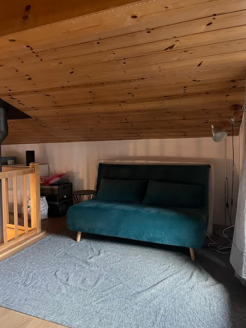 Charmant appartement de 3 pièces avec cheminée à Saillon (7)