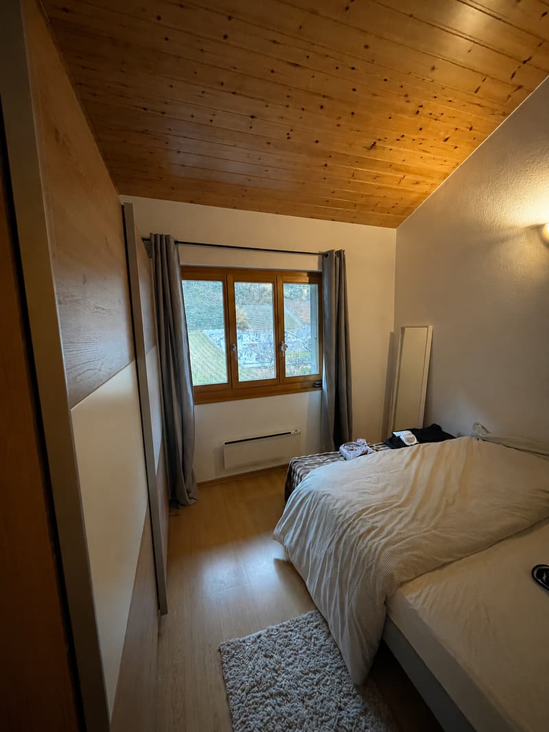 Charmant appartement de 3 pièces avec cheminée à Saillon (5)