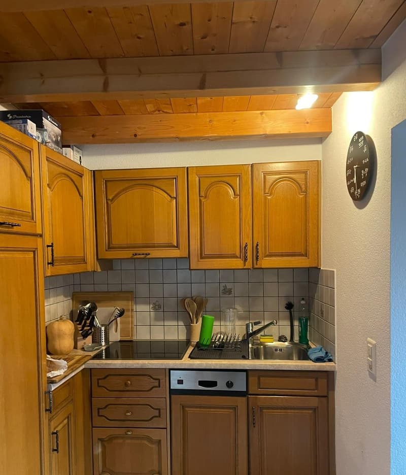 Charmant appartement de 3 pièces avec cheminée à Saillon (3)