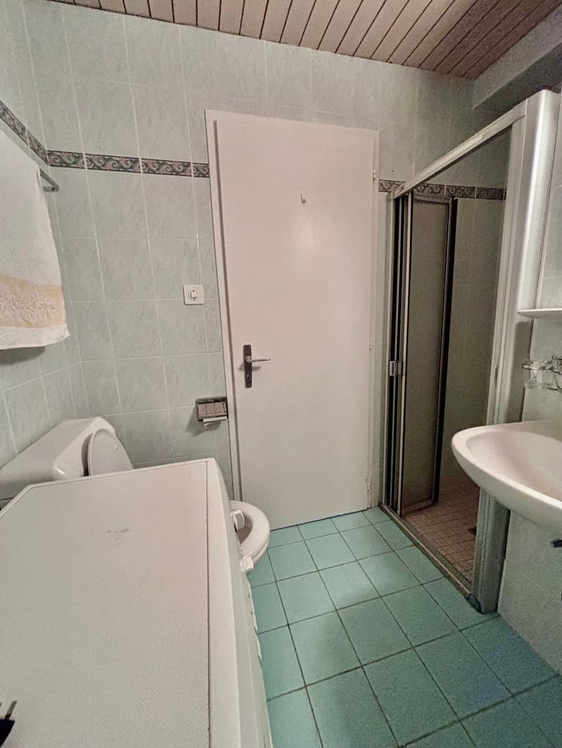 Charmant et spacieux 3.5 pièces au rez-de-chaussée (7)