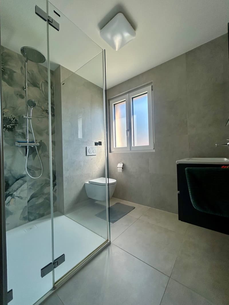 Splendide appartement NEUF de 4.5 pièces moderne à Fully (11)