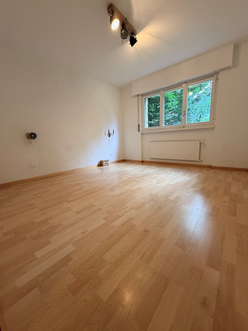 Grand appartement de 3.5 pièces au rez-de-chaussée (4)
