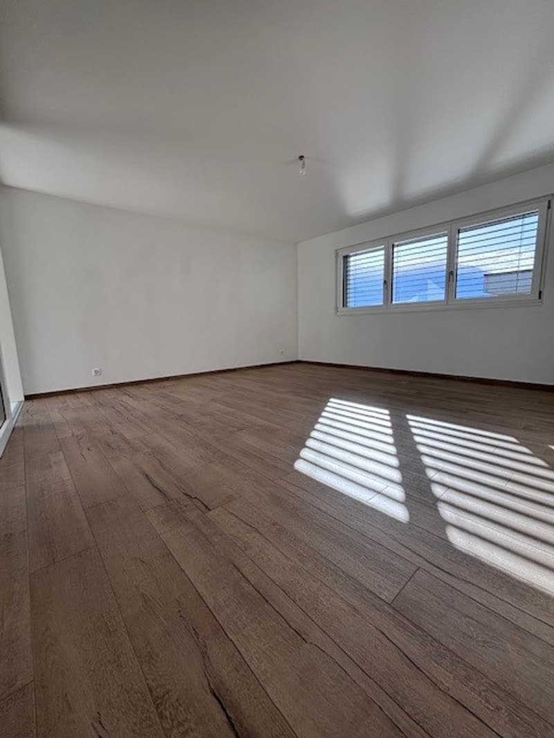 Appartement NEUF de 4.5 pièces au 2ème étage (3)