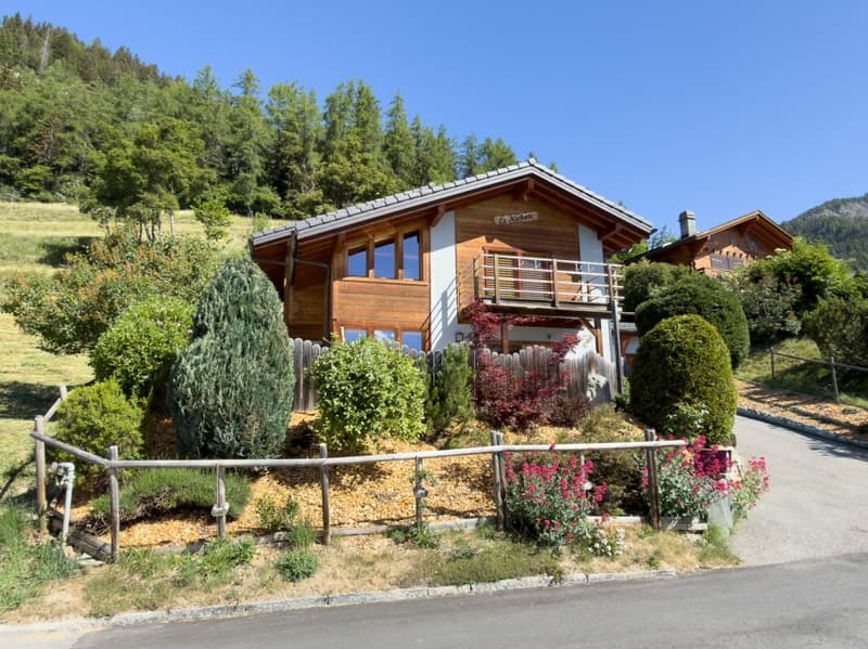 Magnifique maison avec vue panoramique sur les Alpes (16)