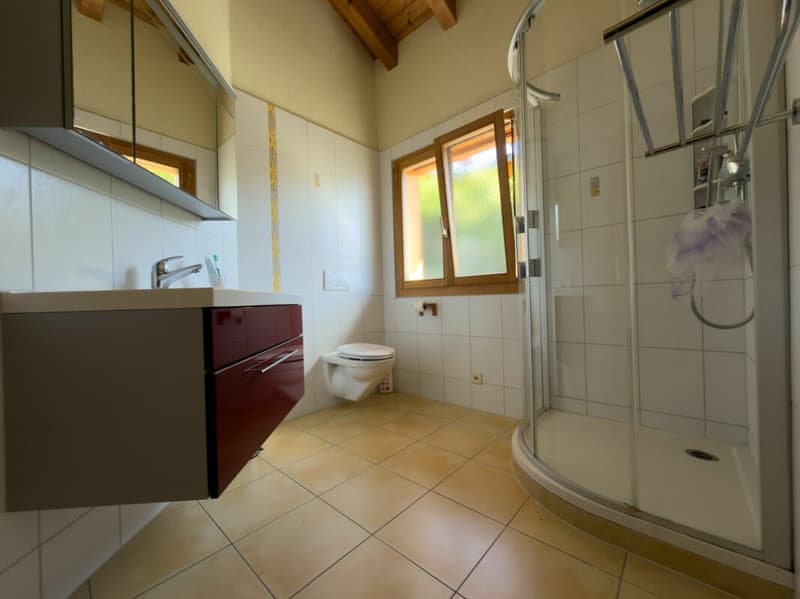 Magnifique maison avec vue panoramique sur les Alpes (12)