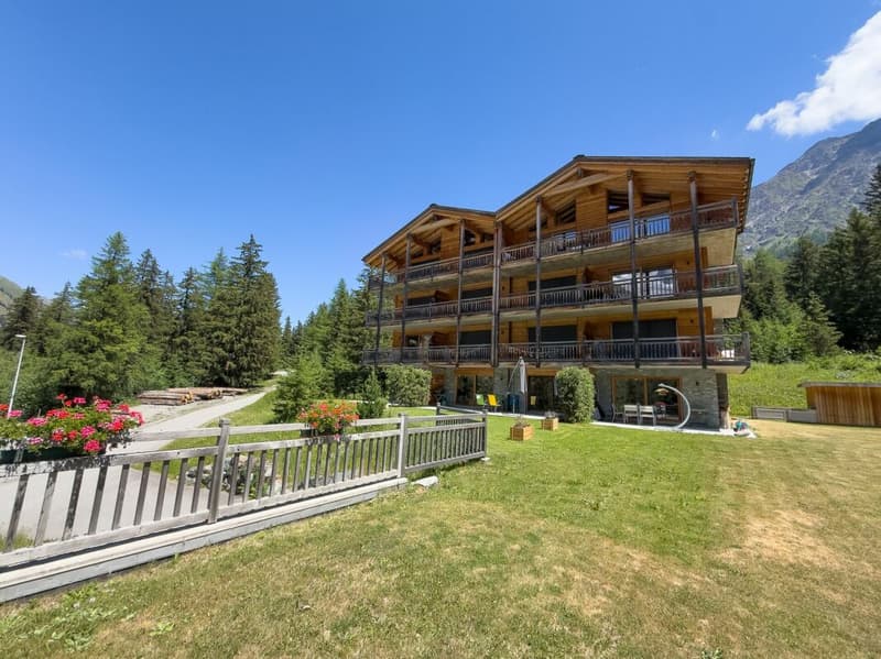 2.5 pièces avec vue panoramique sur les sommets (8)