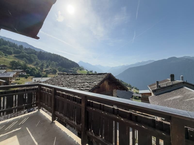 Charmant appartement avec vue panoramique sur la vallée (1)