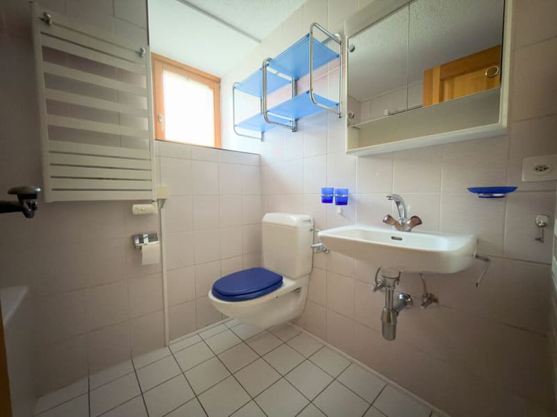 Joli appartement avec balcon (7)