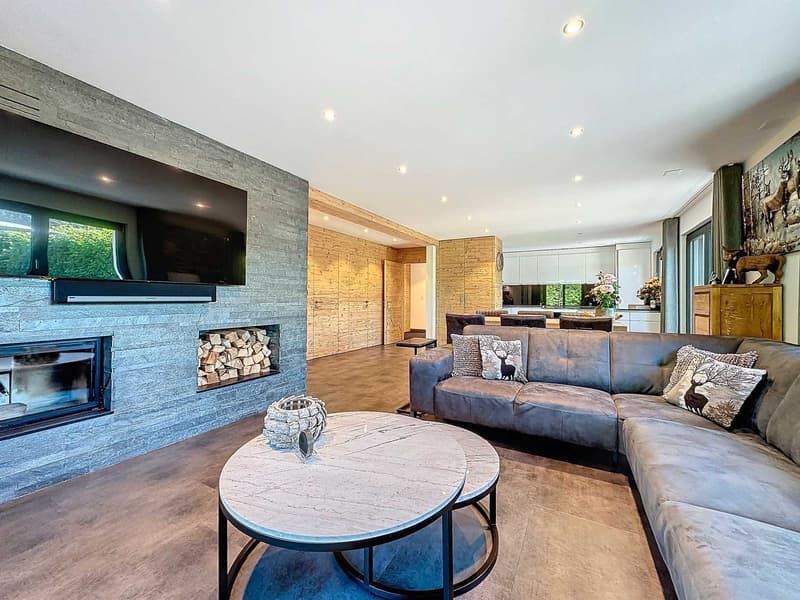 MAISON DE CHARME DE 322 M2 RÉNOVÉE (7)