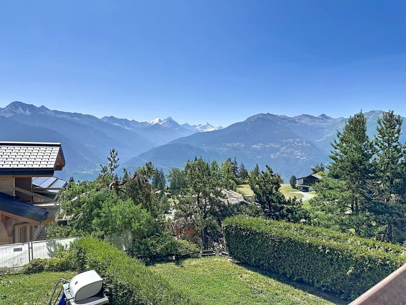 SUPERBE APPARTEMENT EN DUPLEX DE 3.5 PIÈCES AVEC TERRASSE (15)
