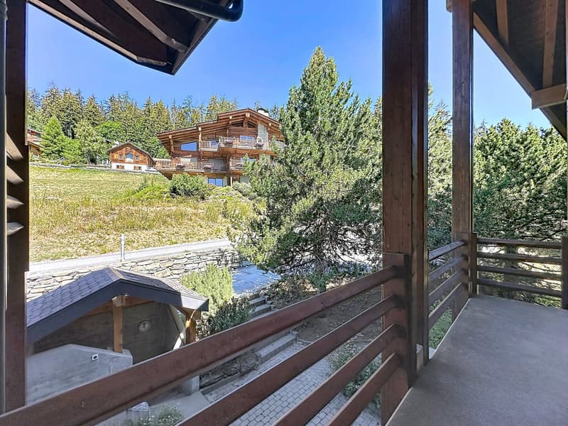 SUPERBE APPARTEMENT EN DUPLEX DE 3.5 PIÈCES AVEC TERRASSE (17)
