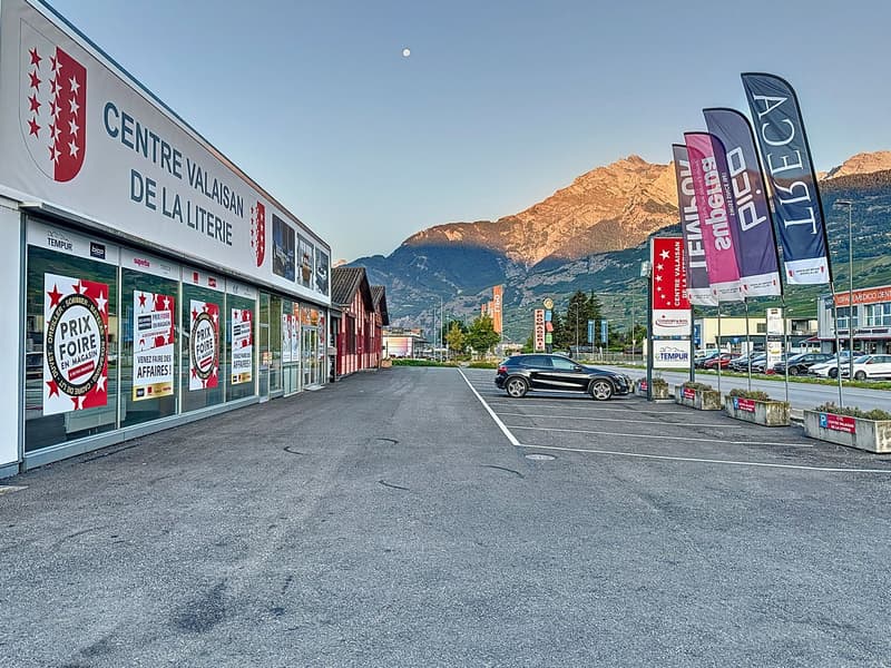 OPPORTUNITÉ D'INVESTISSEMENT À CONTHEY (7)