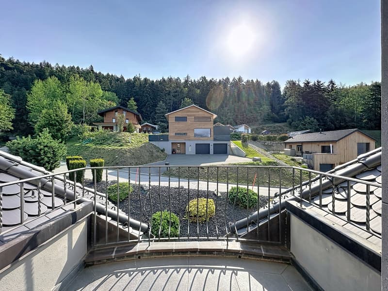 Propriété de caractère avec vue panoramique et vaste parcelle à Icogne (19)