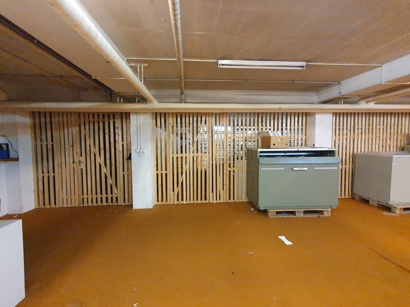 À VENDRE ! Dépôts destinés à du stockage, en plein centre de Sion ! (5)