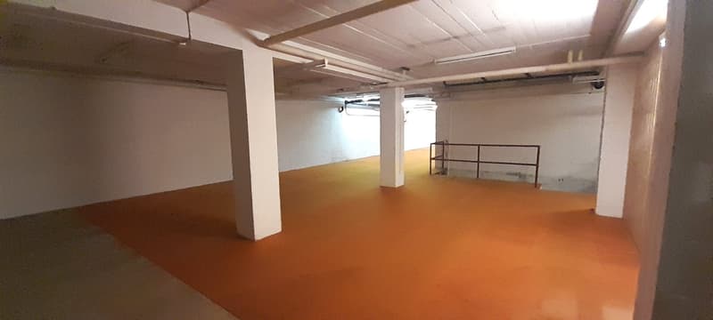 À VENDRE ! Dépôts destinés à du stockage, en plein centre de Sion ! (2)