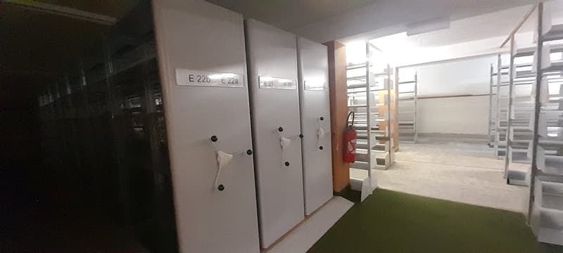 À VENDRE ! Dépôts destinés à du stockage, en plein centre de Sion ! (13)