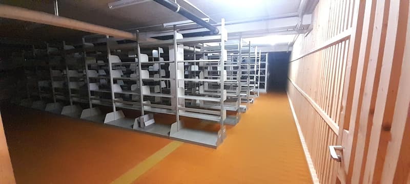 À VENDRE ! Dépôts destinés à du stockage, en plein centre de Sion ! (10)