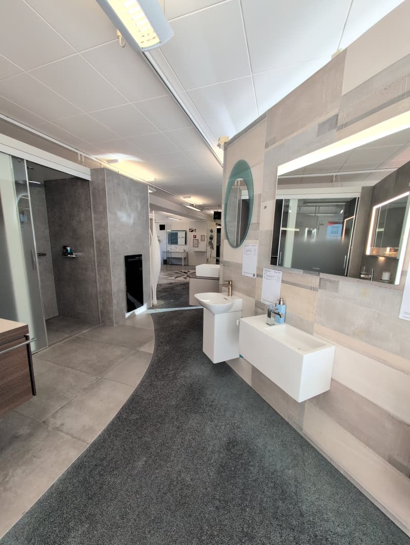 showroom bathroom with shower, two sinks, mirrors, grey tiles, large curved carpet