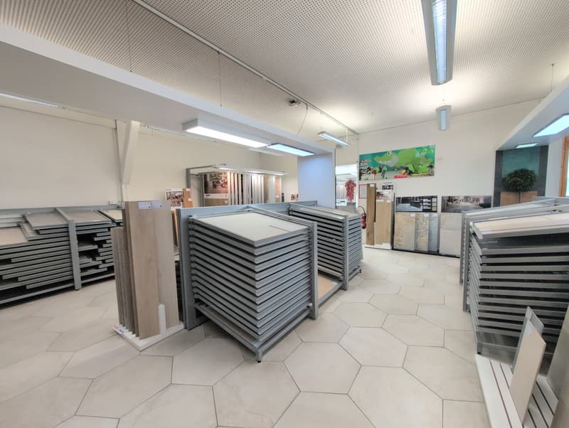 Store filled with shelves of flooring, hexagon tile floor, ceiling lights, plant