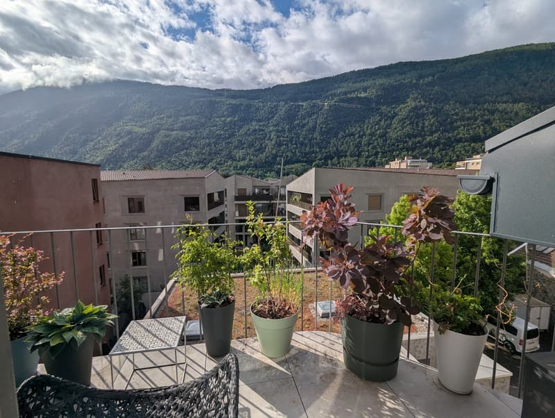 PETIT BIJOU ! À louer, en plein centre de Martigny, un appartement atypique de 2 pièces 1/2 ! (9)