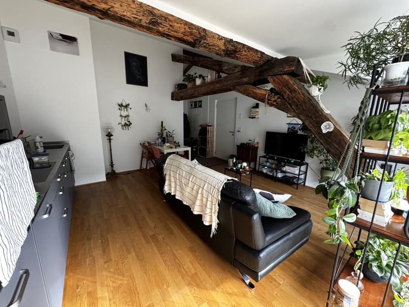 PETIT BIJOU ! À louer, en plein centre de Martigny, un appartement atypique de 2 pièces 1/2 ! (5)
