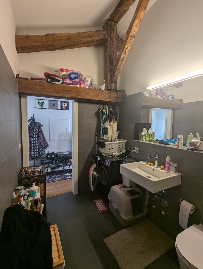 PETIT BIJOU ! À louer, en plein centre de Martigny, un appartement atypique de 2 pièces 1/2 ! (14)