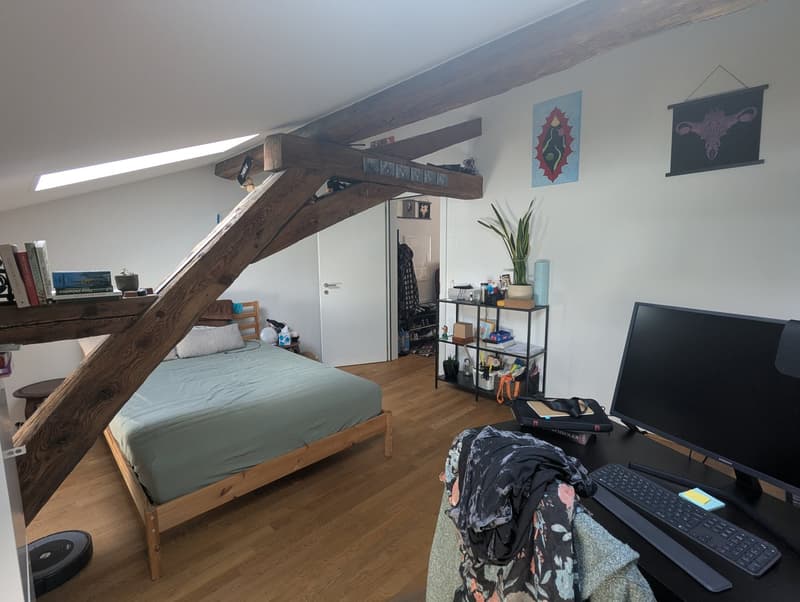 PETIT BIJOU ! À louer, en plein centre de Martigny, un appartement atypique de 2 pièces 1/2 ! (12)
