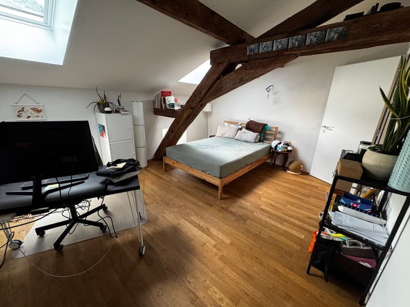 PETIT BIJOU ! À louer, en plein centre de Martigny, un appartement atypique de 2 pièces 1/2 ! (11)