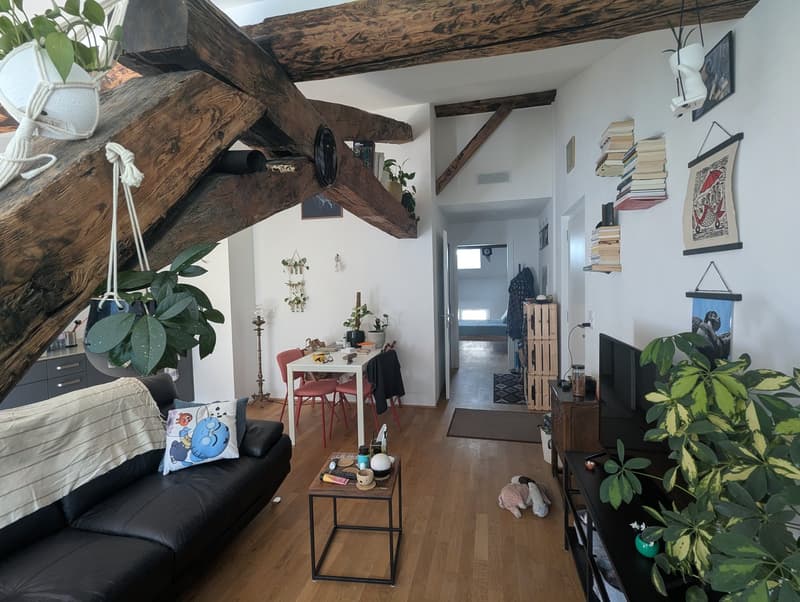 PETIT BIJOU ! À louer, en plein centre de Martigny, un appartement atypique de 2 pièces 1/2 ! (7)