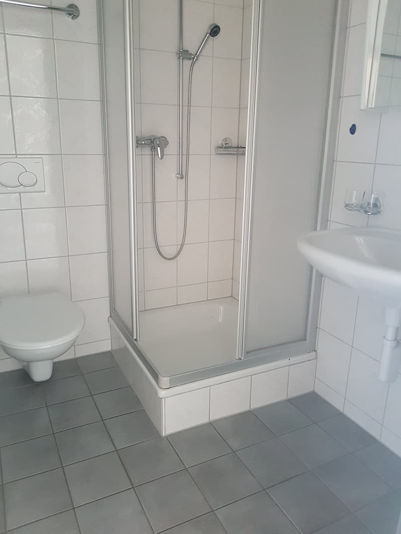 À louer ! Un bel et spacieux appartement de 4 pièces 1/2, en plein coeur de Sion ! (14)