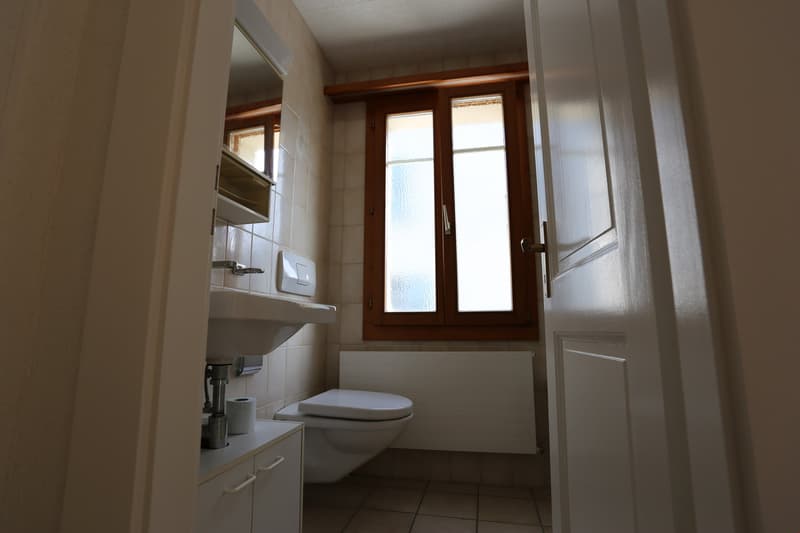 À louer, bel appartement rénové de 3 pièces 1/2, à Sierre! (11)