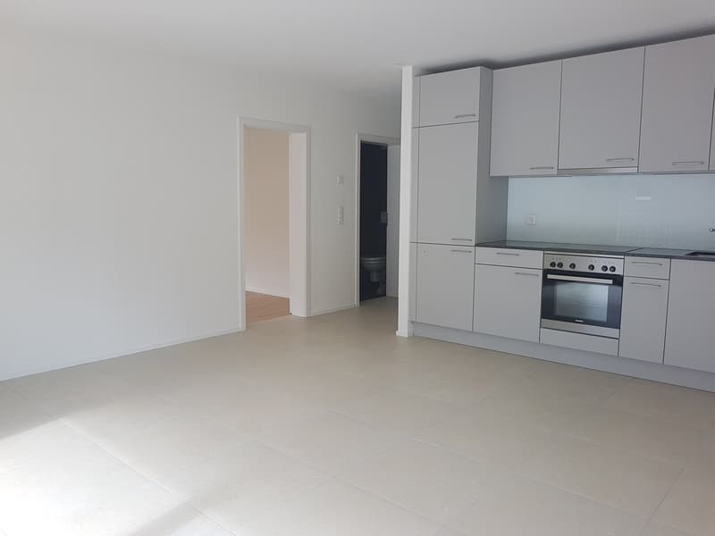 À louer, un magnifique appartement de 2 pièces 1/2, avec pelouse, à Martigny ! (3)