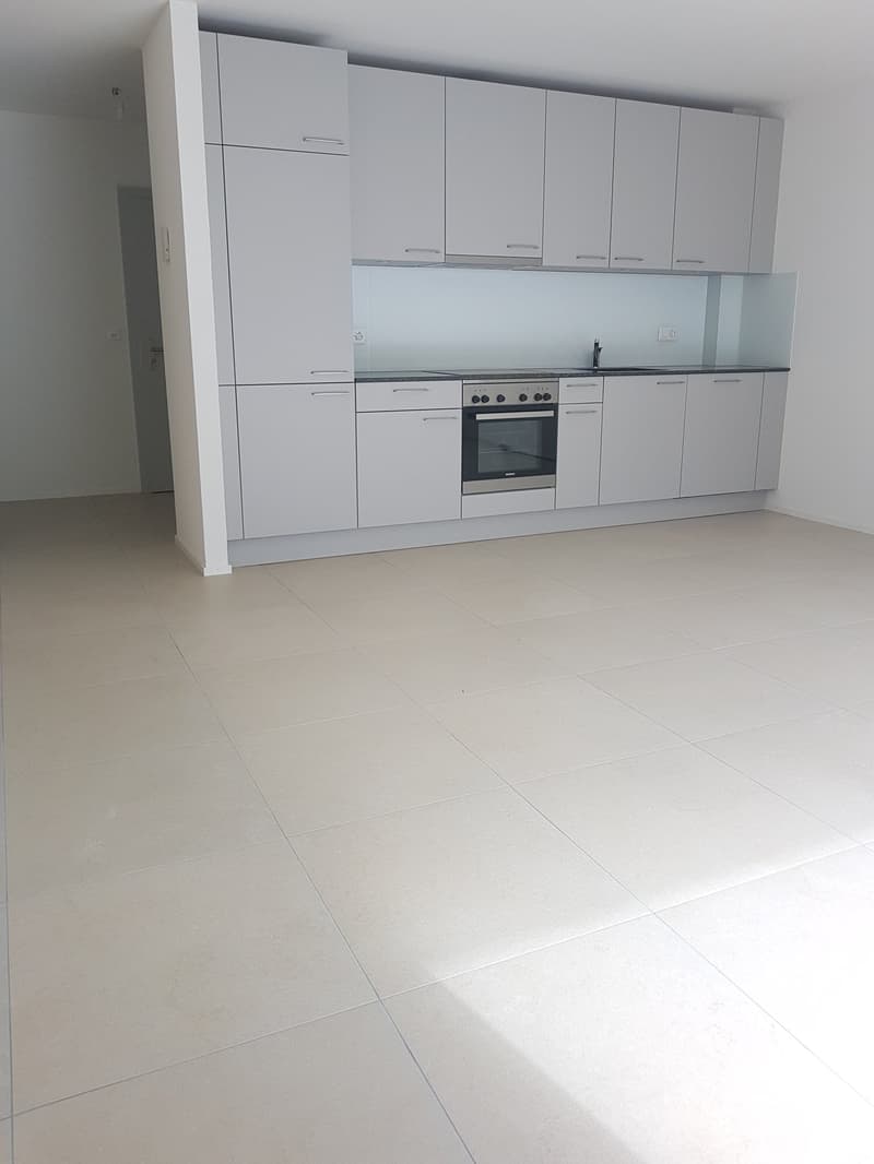 À louer, un magnifique appartement de 2 pièces 1/2, avec pelouse, à Martigny ! (4)