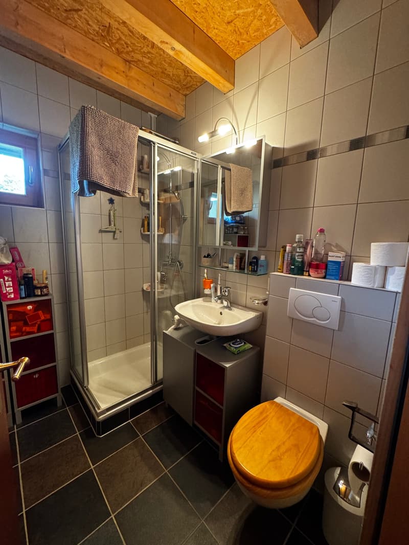 Bien d'exception ! Magnifique chalet de 5.5 pièces ! (10)