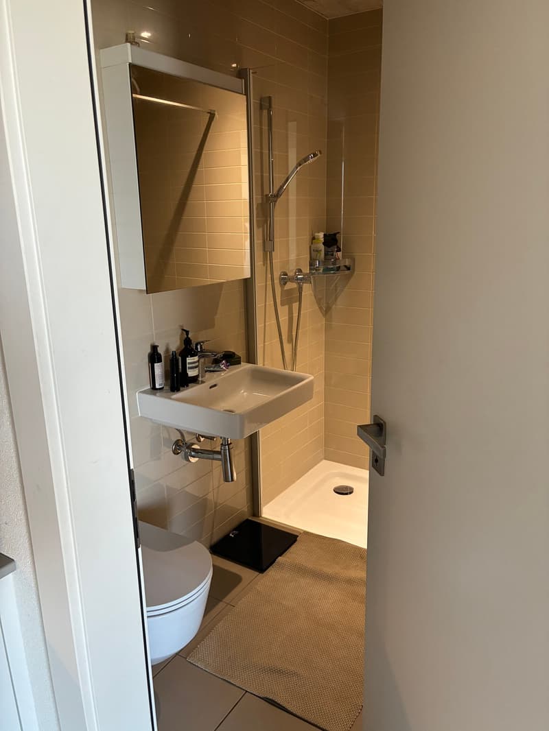 Belle opportunité ! À louer, un charmant studio, à la Place de Rome, à Martigny ! (5)