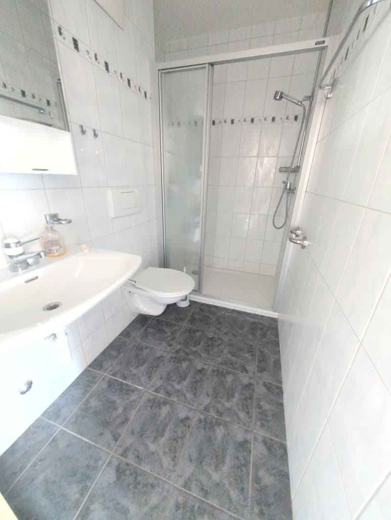 À louer ! Bel appartement de 4 pièces 1/2, dans un cadre familiale, à l'entrée de Sion ! (11)