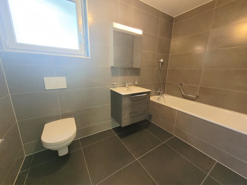 À louer ! Un magnifique appartement de 3 pièces 1/2, avec pelouse, à Martigny ! (13)