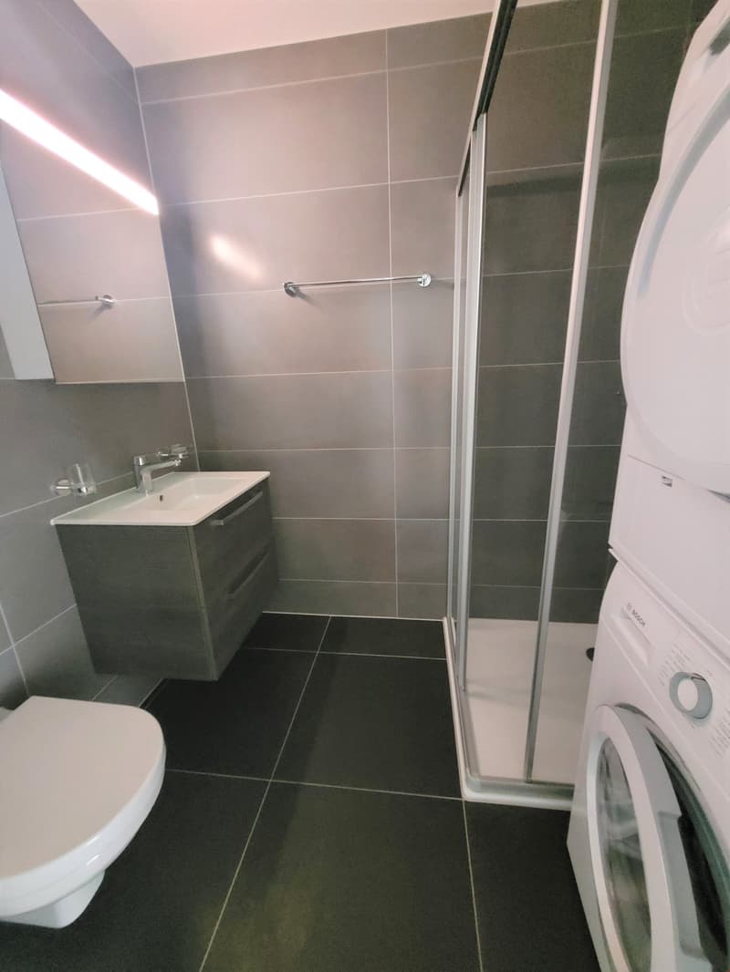 À louer ! Un magnifique appartement de 3 pièces 1/2, avec pelouse, à Martigny ! (12)