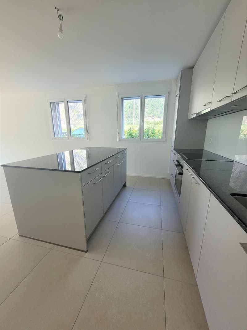 À louer ! Un magnifique appartement de 3 pièces 1/2, avec pelouse, à Martigny ! (3)