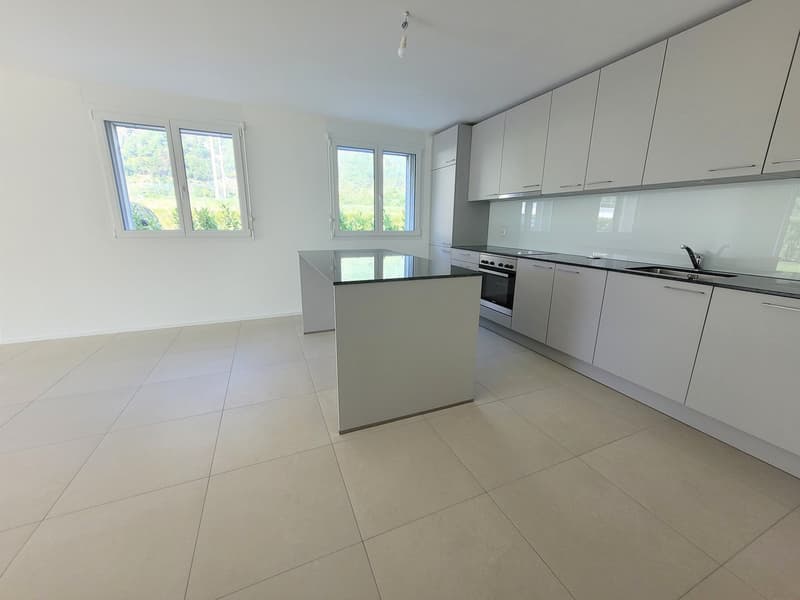 À louer ! Un magnifique appartement de 3 pièces 1/2, avec pelouse, à Martigny ! (5)