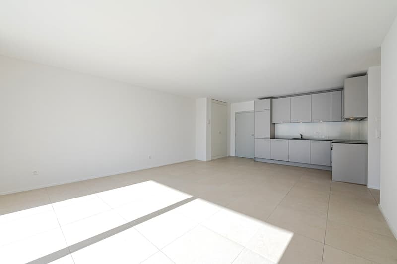 À louer ! Un très bel appartement de 2 pièces 1/2, au Chemin du Milieu à Martigny ! (6)